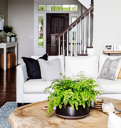 Living Room Sofa and Coffee Table